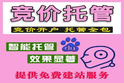 竞价广告案例分析：广告投放成本控制策略